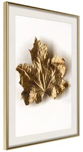 Inramad Poster / Tavla - Dried Maple Leaf - 40x60 Svart ram