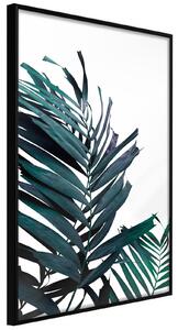 Inramad Poster / Tavla - Evergreen Palm Leaves - 20x30 Svart ram med passepartout
