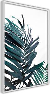 Inramad Poster / Tavla - Evergreen Palm Leaves - 20x30 Vit ram med passepartout