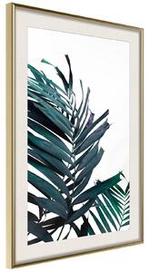 Inramad Poster / Tavla - Evergreen Palm Leaves - 40x60 Guldram med passepartout