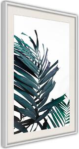 Inramad Poster / Tavla - Evergreen Palm Leaves - 20x30 Vit ram med passepartout