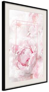 Inramad Poster / Tavla - Floral Dreams - 20x30 Guldram