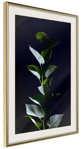 Inramad Poster / Tavla - Floral Elegance - 40x60 Guldram