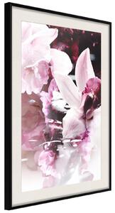 Inramad Poster / Tavla - Flowers on the Water - 20x30 Svart ram
