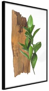 Inramad Poster / Tavla - Forest Bouquet - 30x45 Guldram med passepartout