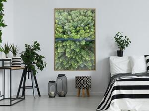 Inramad Poster / Tavla - Forest from a Bird's Eye View - 20x30 Svart ram
