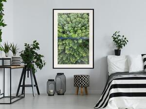 Inramad Poster / Tavla - Forest from a Bird's Eye View - 20x30 Vit ram