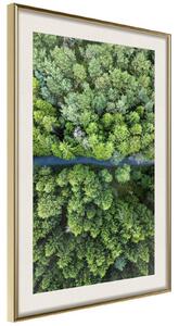 Inramad Poster / Tavla - Forest from a Bird's Eye View - 20x30 Guldram med passepartout