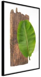 Inramad Poster / Tavla - Forest Nature - 40x60 Guldram med passepartout