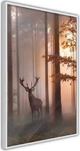 Inramad Poster / Tavla - Forest Seclusion - 20x30 Svart ram