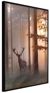 Inramad Poster / Tavla - Forest Seclusion - 20x30 Svart ram med passepartout