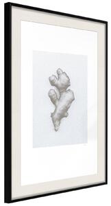Inramad Poster / Tavla - Ginger Rhizome - 40x60 Svart ram med passepartout