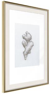 Inramad Poster / Tavla - Ginger Rhizome - 20x30 Svart ram med passepartout