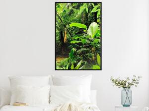 Inramad Poster / Tavla - In the Rainforest - 20x30 Vit ram