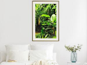 Inramad Poster / Tavla - In the Rainforest - 20x30 Svart ram