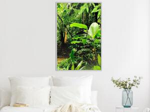 Inramad Poster / Tavla - In the Rainforest - 30x45 Svart ram