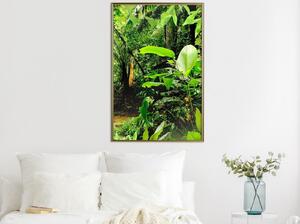 Inramad Poster / Tavla - In the Rainforest - 20x30 Svart ram med passepartout