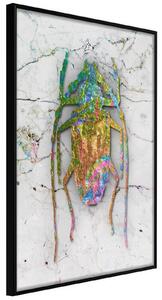 Inramad Poster / Tavla - Iridescent Insect - 30x45 Guldram med passepartout