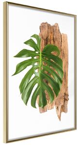 Inramad Poster / Tavla - Leafy Etude - 30x45 Guldram