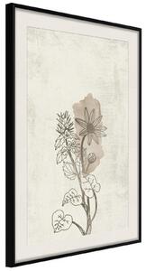 Inramad Poster / Tavla - Life of Plants - 20x30 Svart ram