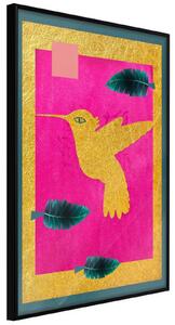 Inramad Poster / Tavla - Native American Hummingbird - 20x30 Svart ram med passepartout