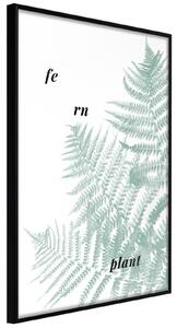 Inramad Poster / Tavla - Pale Green Fern - 20x30 Svart ram