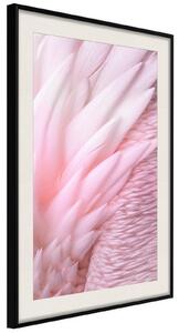 Inramad Poster / Tavla - Pink Feathers - 40x60 Svart ram med passepartout