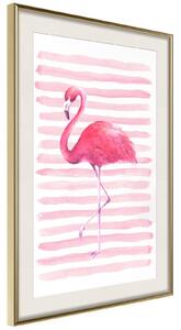 Inramad Poster / Tavla - Pink Madness - 30x45 Guldram med passepartout