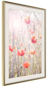Inramad Poster / Tavla - Poppies - 30x45 Guldram