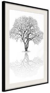 Inramad Poster / Tavla - Roots or Treetop? - 20x30 Svart ram med passepartout