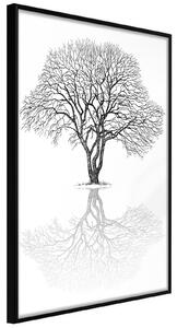 Inramad Poster / Tavla - Roots or Treetop? - 20x30 Guldram med passepartout