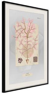 Inramad Poster / Tavla - Seaweed - 40x60 Guldram med passepartout