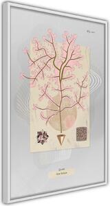 Inramad Poster / Tavla - Seaweed - 20x30 Guldram med passepartout