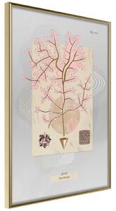 Inramad Poster / Tavla - Seaweed - 20x30 Guldram