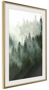 Inramad Poster / Tavla - Steaming Forest - 20x30 Guldram med passepartout