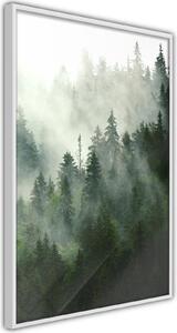 Inramad Poster / Tavla - Steaming Forest - 40x60 Guldram med passepartout