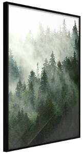 Inramad Poster / Tavla - Steaming Forest - 30x45 Svart ram med passepartout