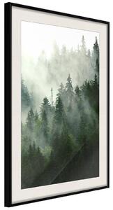 Inramad Poster / Tavla - Steaming Forest - 20x30 Guldram med passepartout
