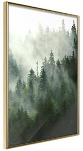 Inramad Poster / Tavla - Steaming Forest - 20x30 Guldram