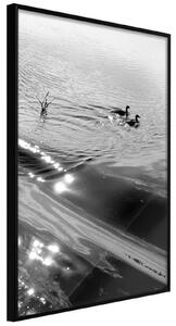 Inramad Poster / Tavla - Texture of Water - 30x45 Guldram