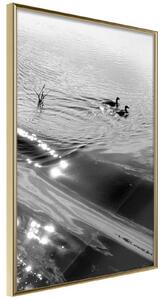 Inramad Poster / Tavla - Texture of Water - 20x30 Guldram
