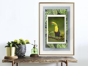 Inramad Poster / Tavla - Toucan in the Frame - 20x30 Guldram med passepartout