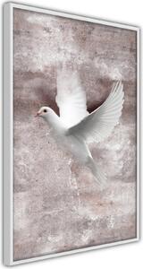 Inramad Poster / Tavla - White Dreams - 20x30 Svart ram med passepartout
