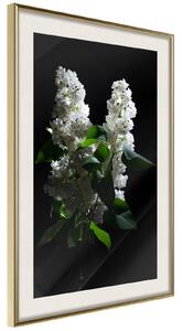 Inramad Poster / Tavla - White Lilac - 40x60 Guldram
