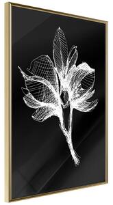 Inramad Poster / Tavla - White Plant - 20x30 Guldram