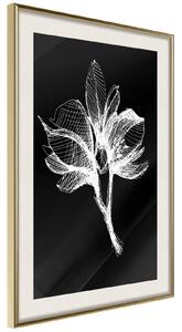 Inramad Poster / Tavla - White Plant - 20x30 Guldram med passepartout