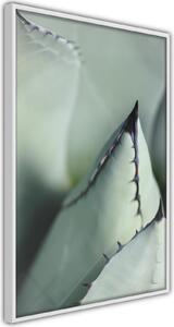 Inramad Poster / Tavla - Young Leaf of Agave - 20x30 Guldram med passepartout