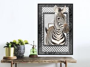 Inramad Poster / Tavla - Zebra in the Frame - 20x30 Guldram med passepartout