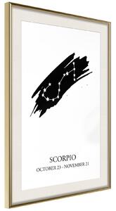 Inramad Poster / Tavla - Zodiac: Scorpio I - 20x30 Guldram