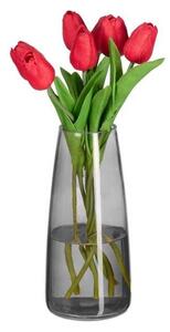 Vas i glas